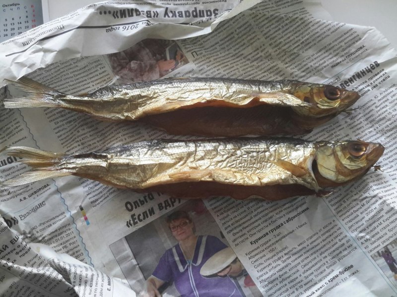 Печерский хариус