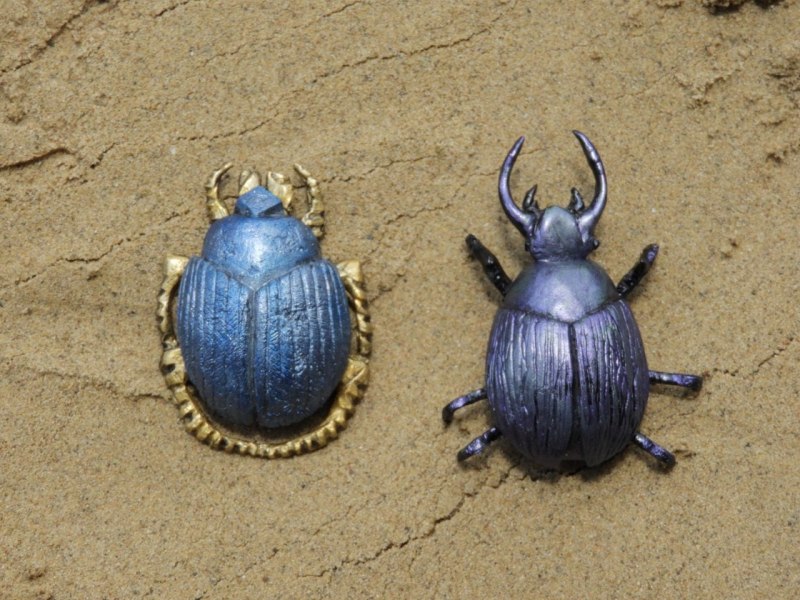 Жук навозник coprophagia