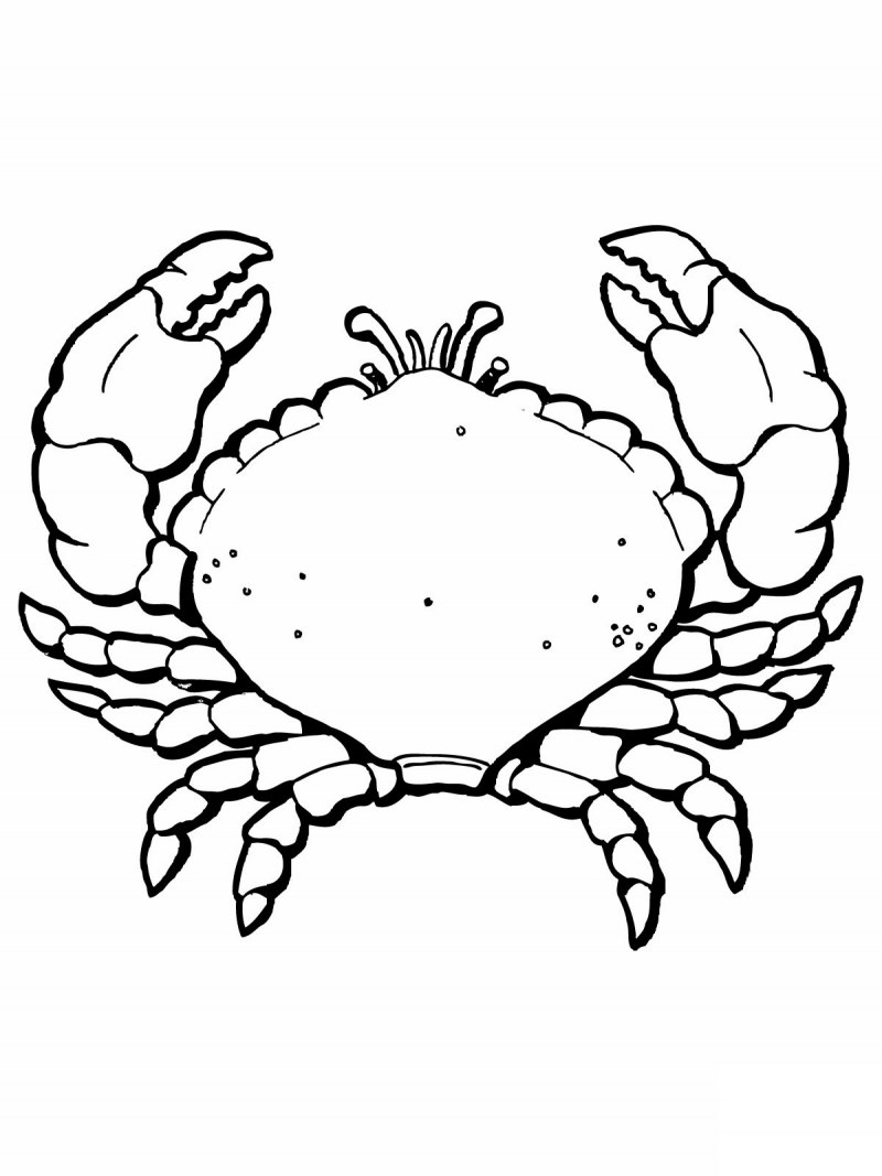 Рисунок для пряника Крабик