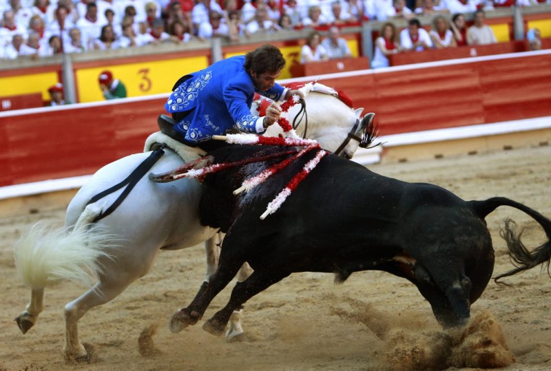 Соревнование bull of the month