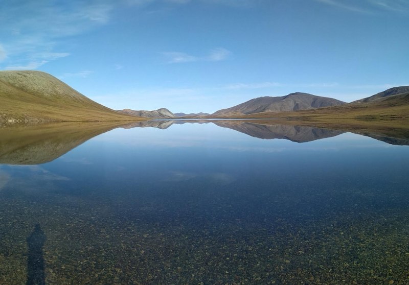 СТЕТАКАНТ акула