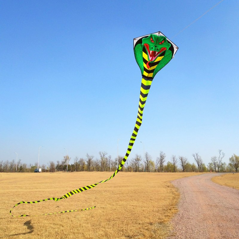 Parrot Snake (Leptophis Ahaetulla