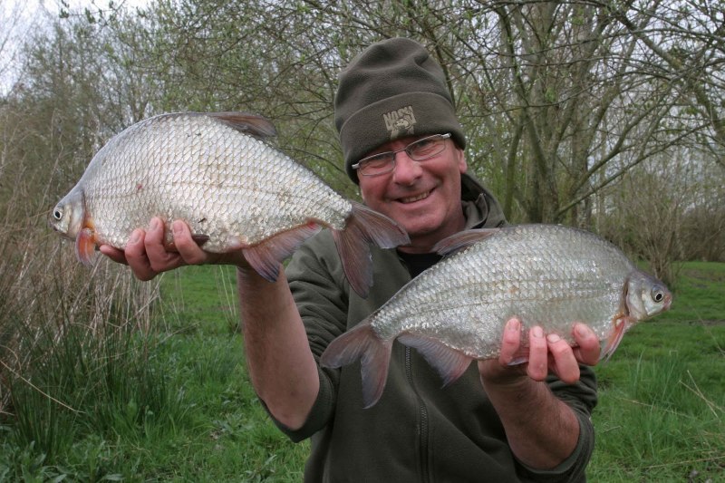 Silver Bream