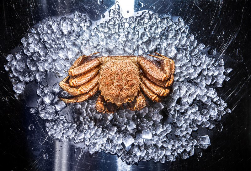 I Crab Москва