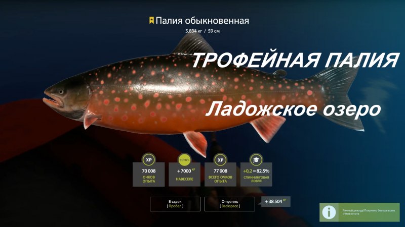 Salvelinus – гольцы