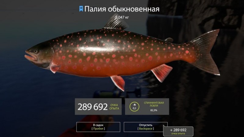 Голец на Кольском полуострове