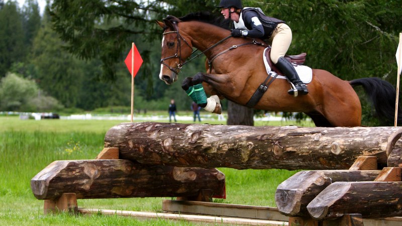 William Fox-Pitt