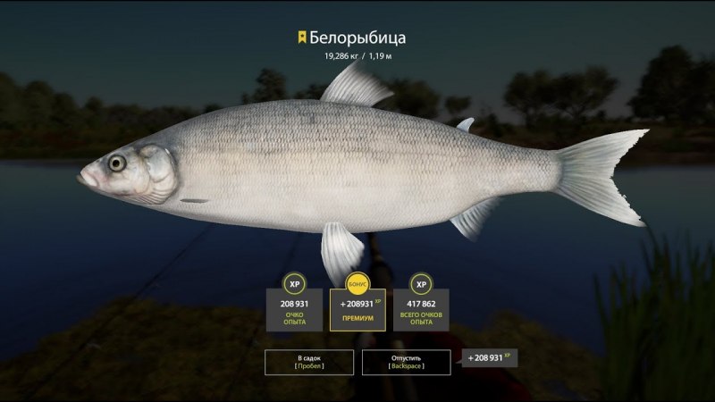 Нельма рыба