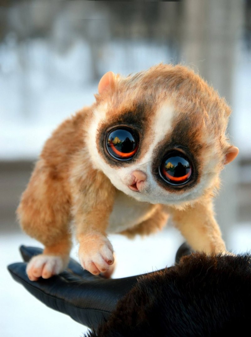 Игрушки Santaniel Inari Foxes