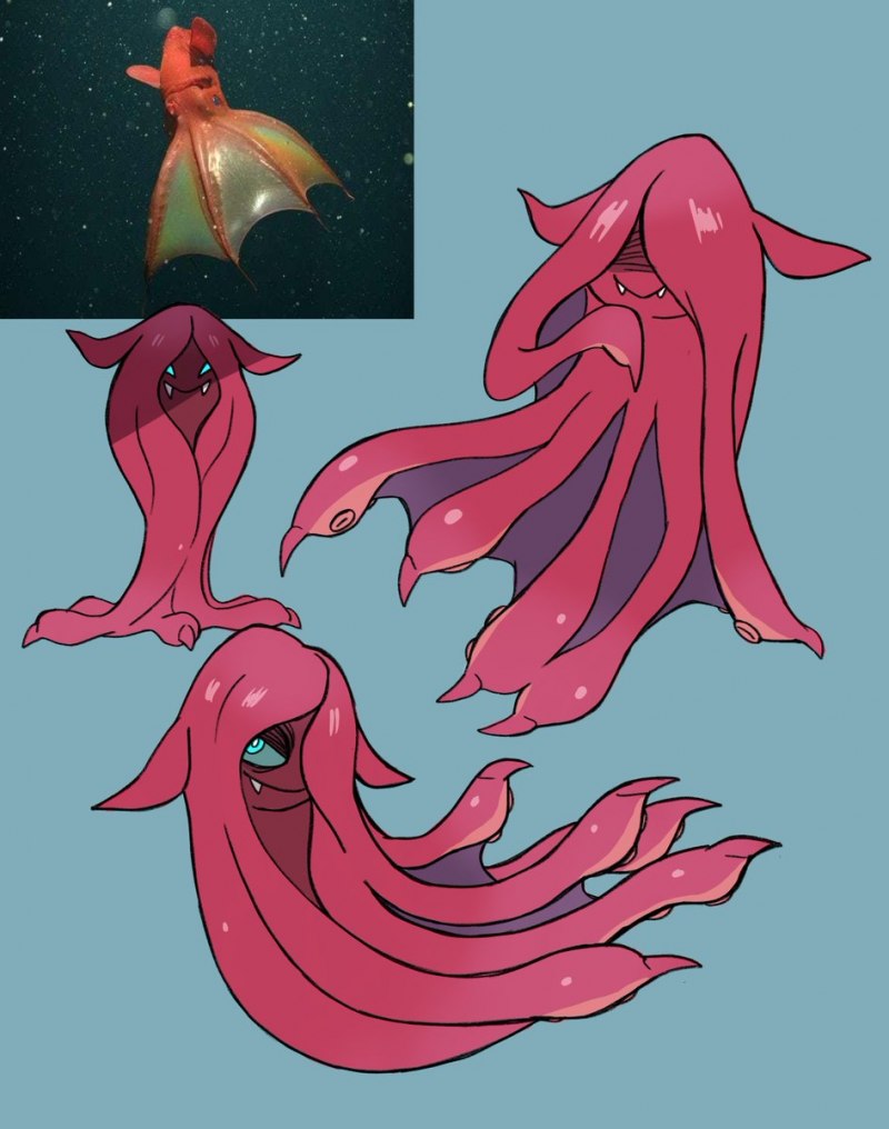 Sepioteuthis sepioidea