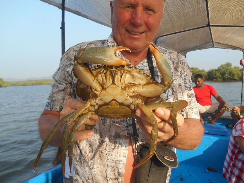 Крабы Приморского края