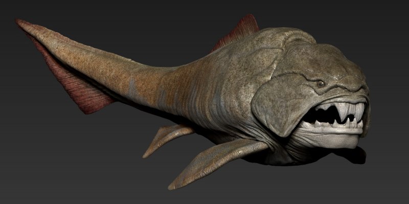Chimaera monstrosa