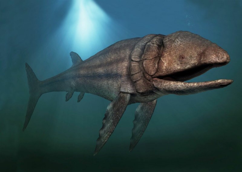 Рыба-тренога (Bathypterois grallator)