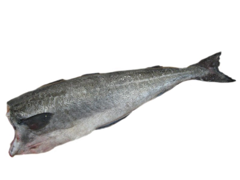 Рыба мороженая пикша