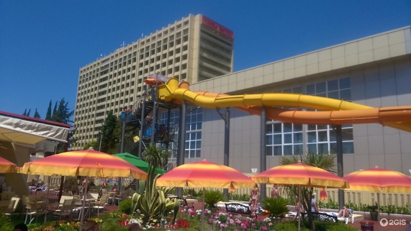 Карликовый Бегемот Московский зоопарк