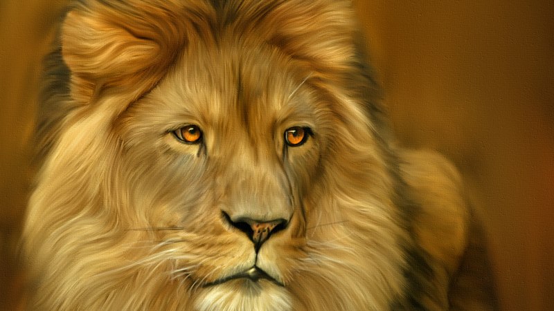 Лев лежит