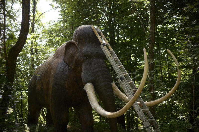 Columbian Mammoth колумбийский мамонт
