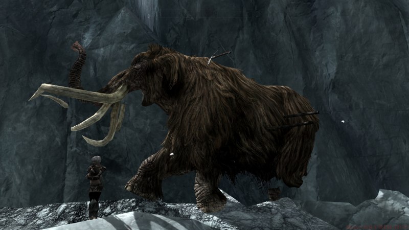 Шерстистый мамонт (Mammuthus primigenius)