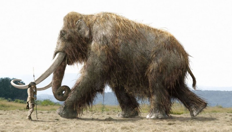 Колумбийский мамонт Primeval