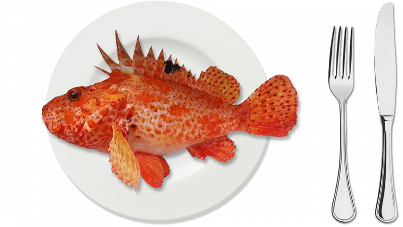 Sebastes aleutianus