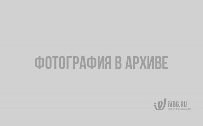 Рябушка холодного копчения