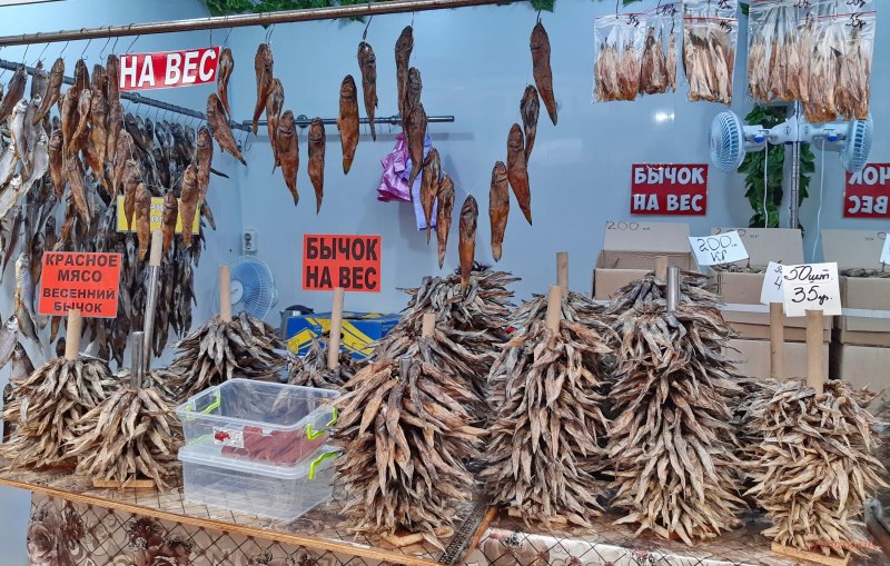 Бычки Азовского моря