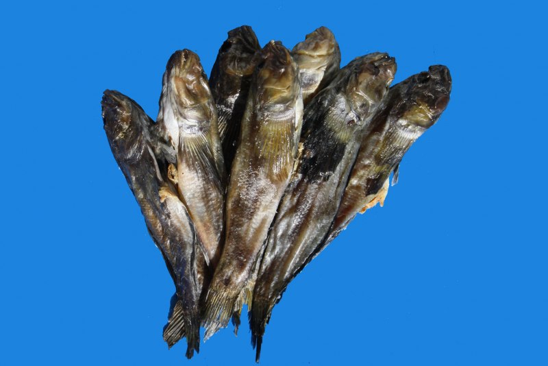 Замор на Азовском море