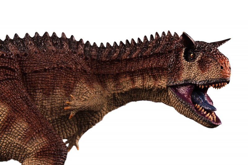 Carnotaurus sastrei