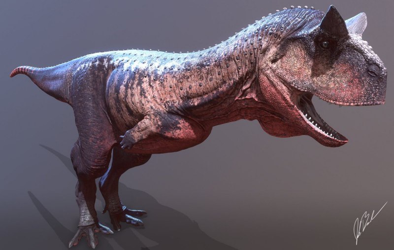 Spinosaurus Carnotaurus