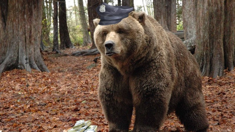Ursus arctos horribilis