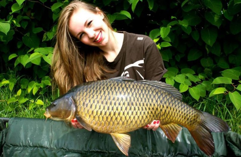 Карп обыкновенный – Cyprinus Carpio