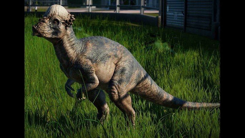 Stygimoloch динозавр
