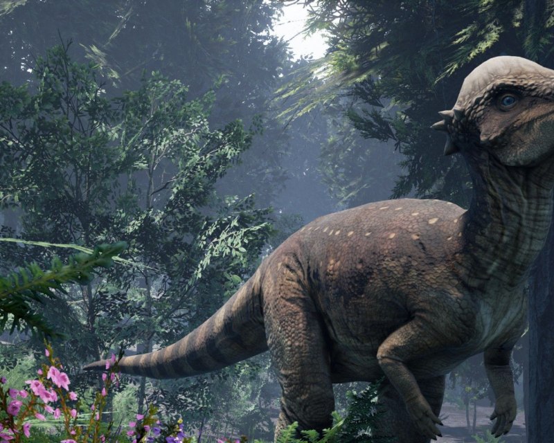 Pachycephalosaurus wyomingensis.