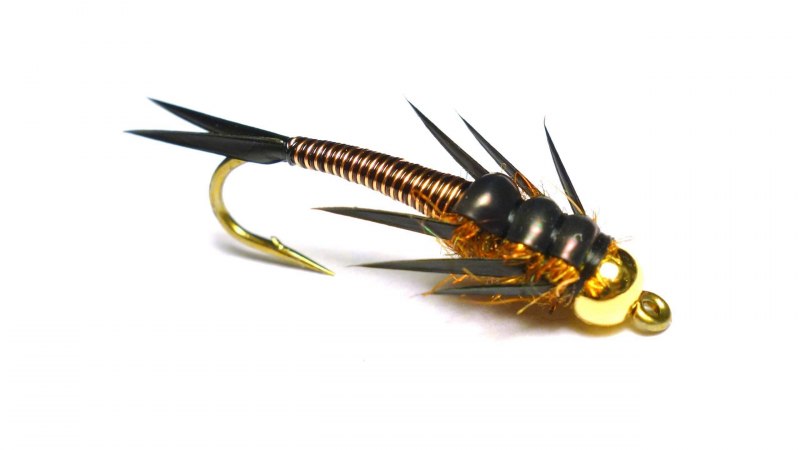 Stonefly nymph