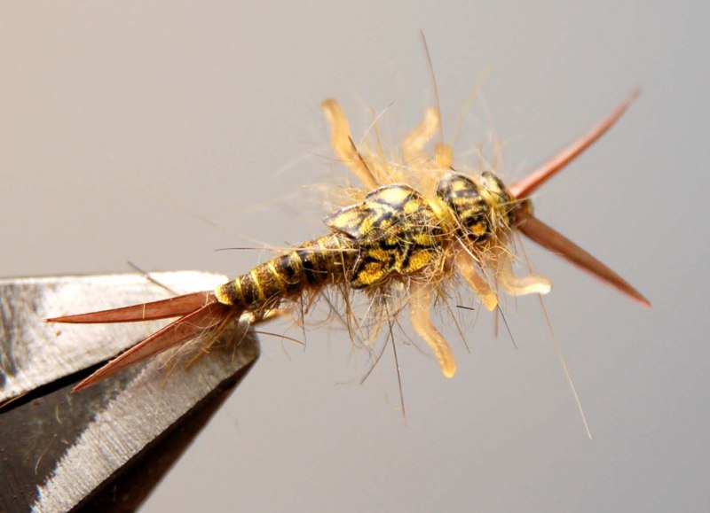 Мушка Stonefly nymph