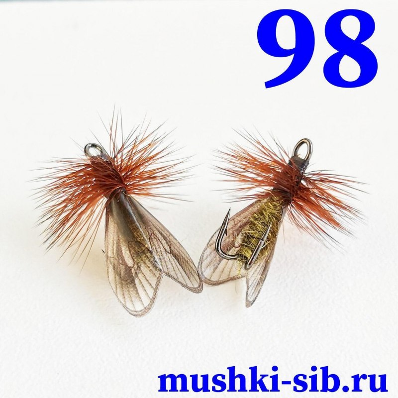 Веснянка верховая мушка