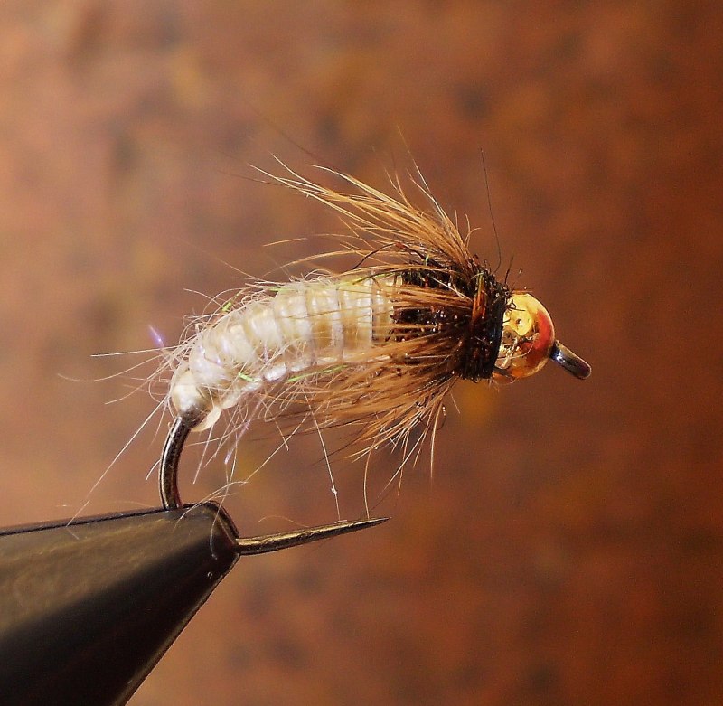 Нимфа Caddis Larva