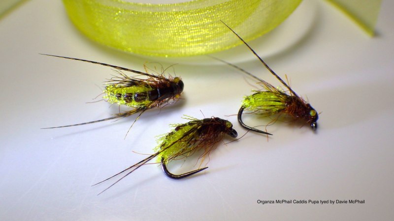 Мушка Caddis Pupa