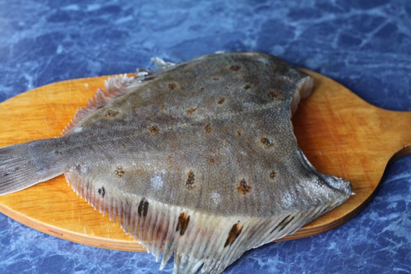 Морская рыба камбала
