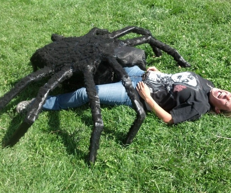 Wood Tarantula