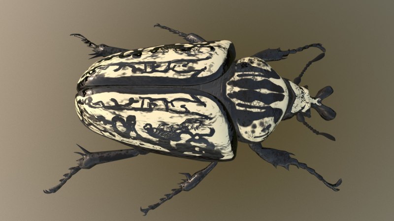 Жук Dynastes Neptunus