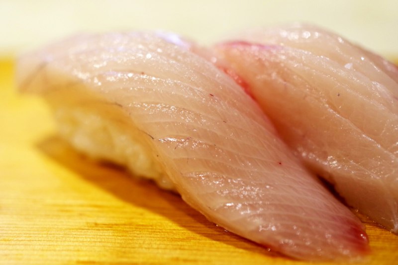 Thunnus obesus