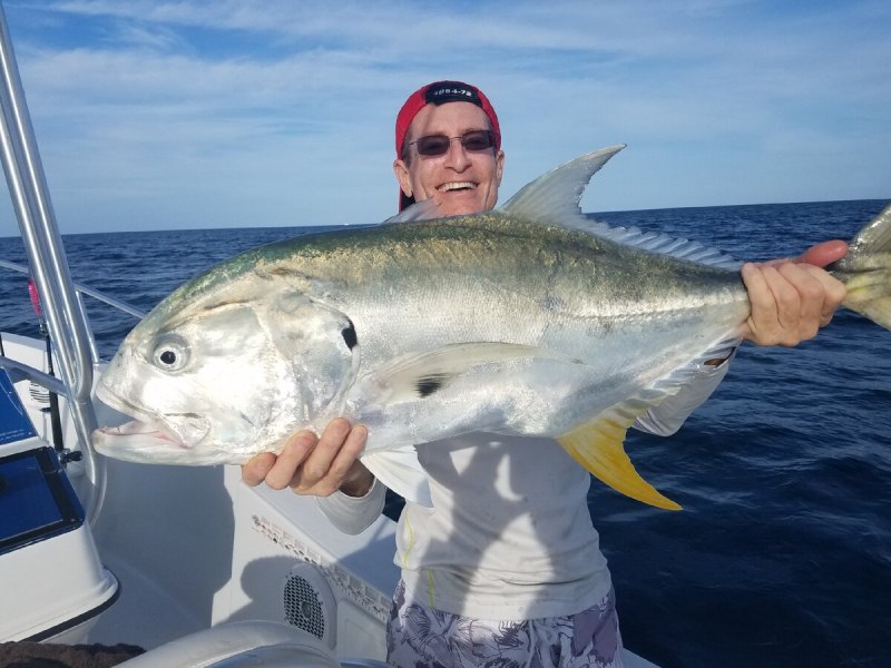Рыба Bluefin Trevally