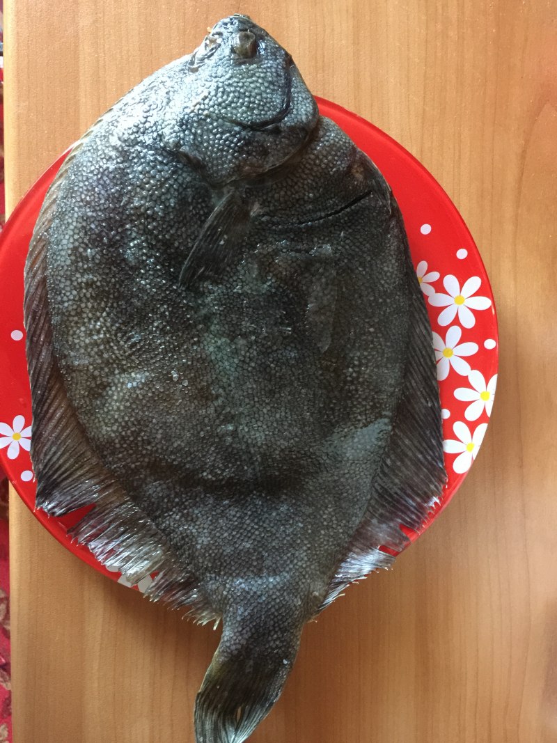 Камбала крупная