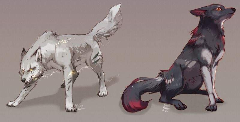 Луговой волк canis Latrans