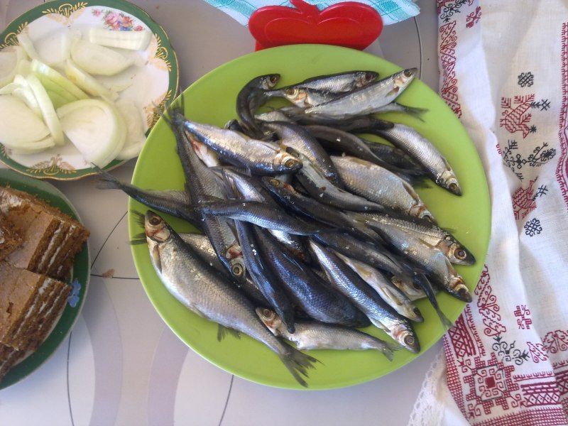 Тугунок рыба