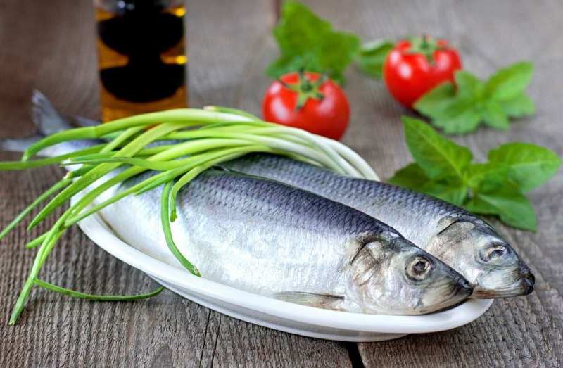 Herring – сельдь