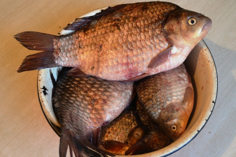 Карась мясо