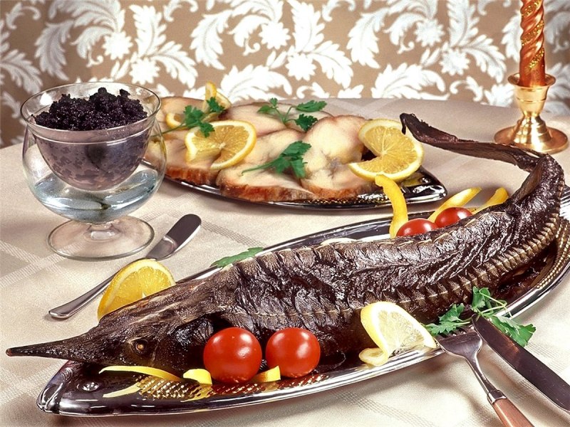 Атлантический осетр