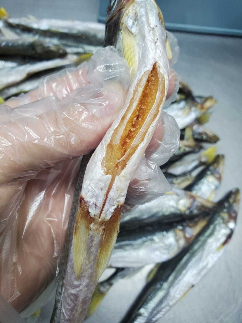 Рыбы Камчатки корюшка